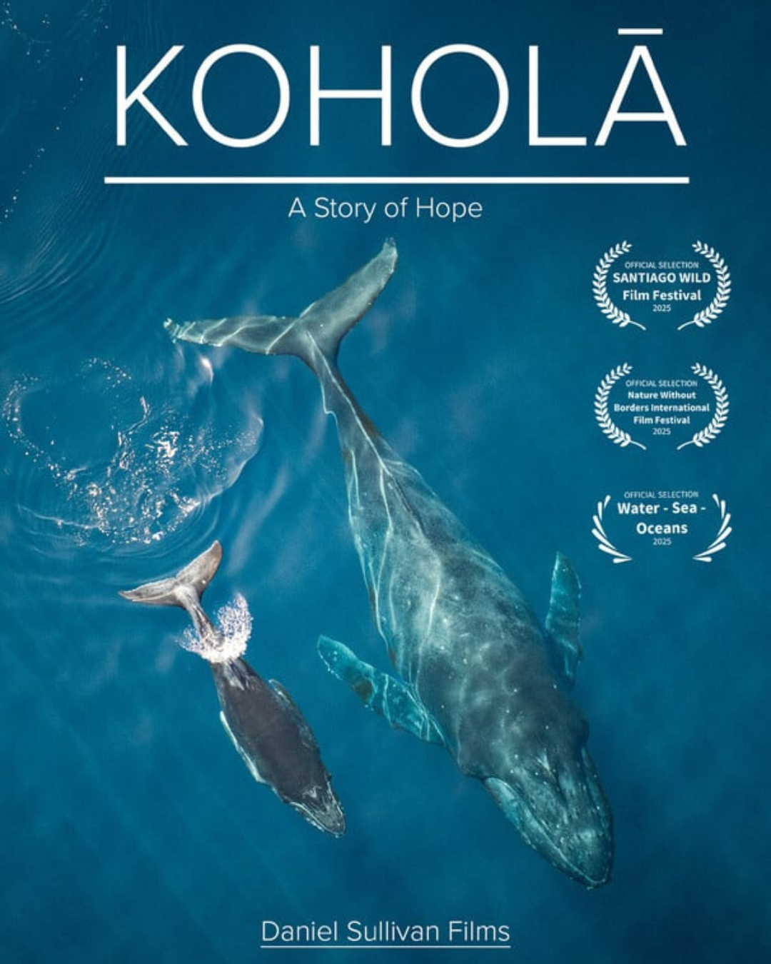 SRF - Kohola