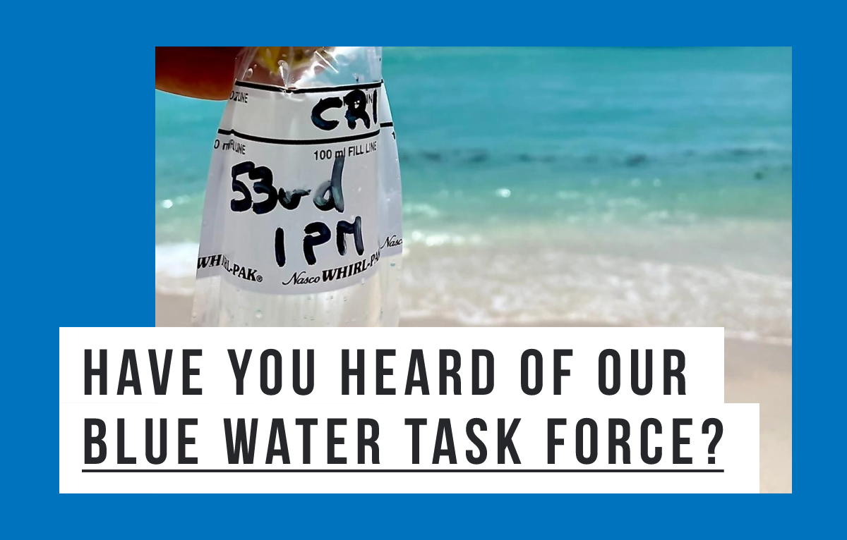 Have you heard of our Blue Water Task Force?