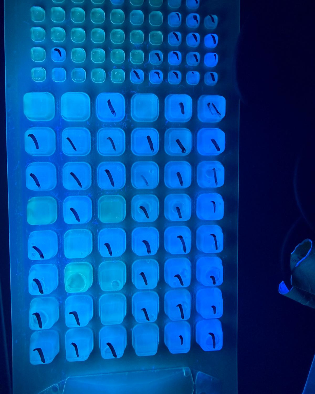 Surfrider Miami - BWTF MAST Lab - 11