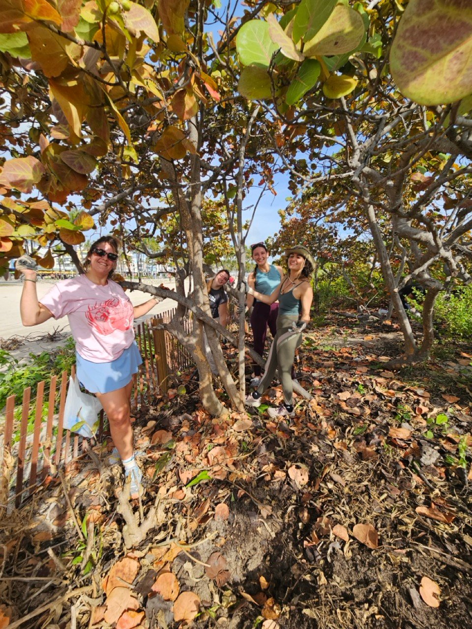 SRF -Dune Restoration-Jan2026-01