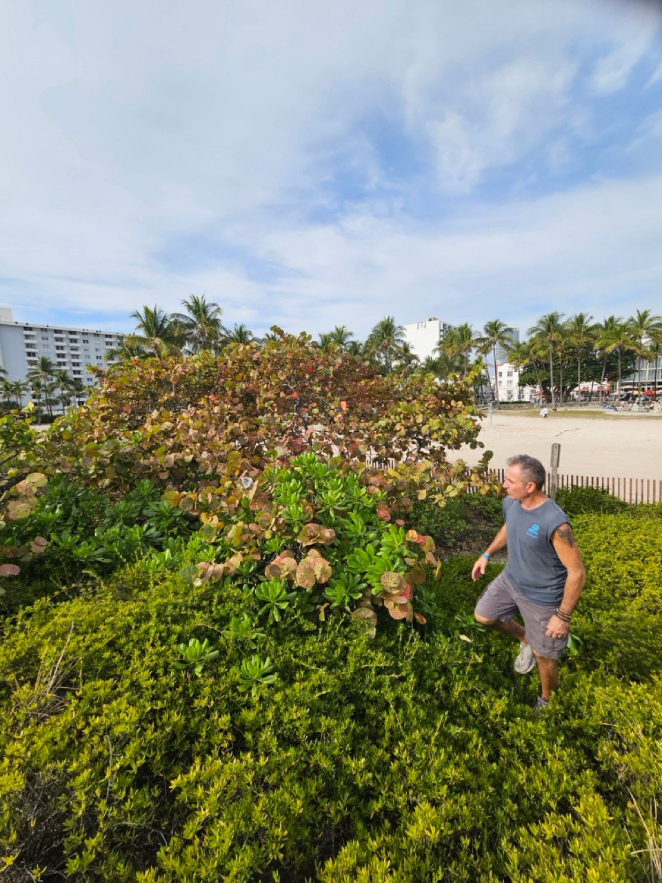 SRF -Dune Restoration-Jan2026-07