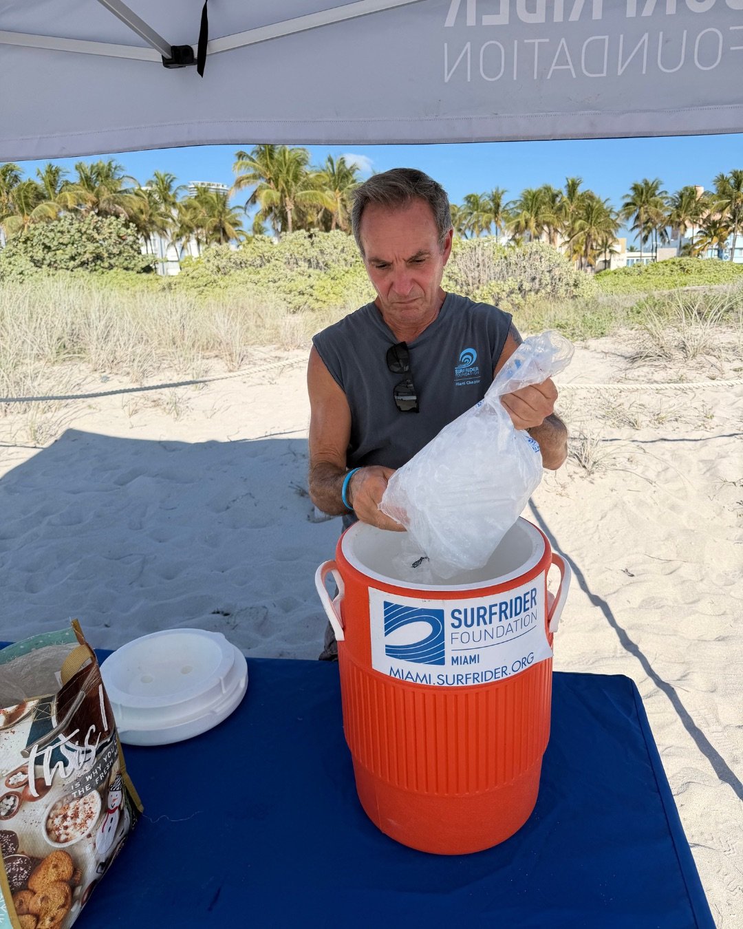 Surfrider Miami - April 2026 Dune Restoriation - 3