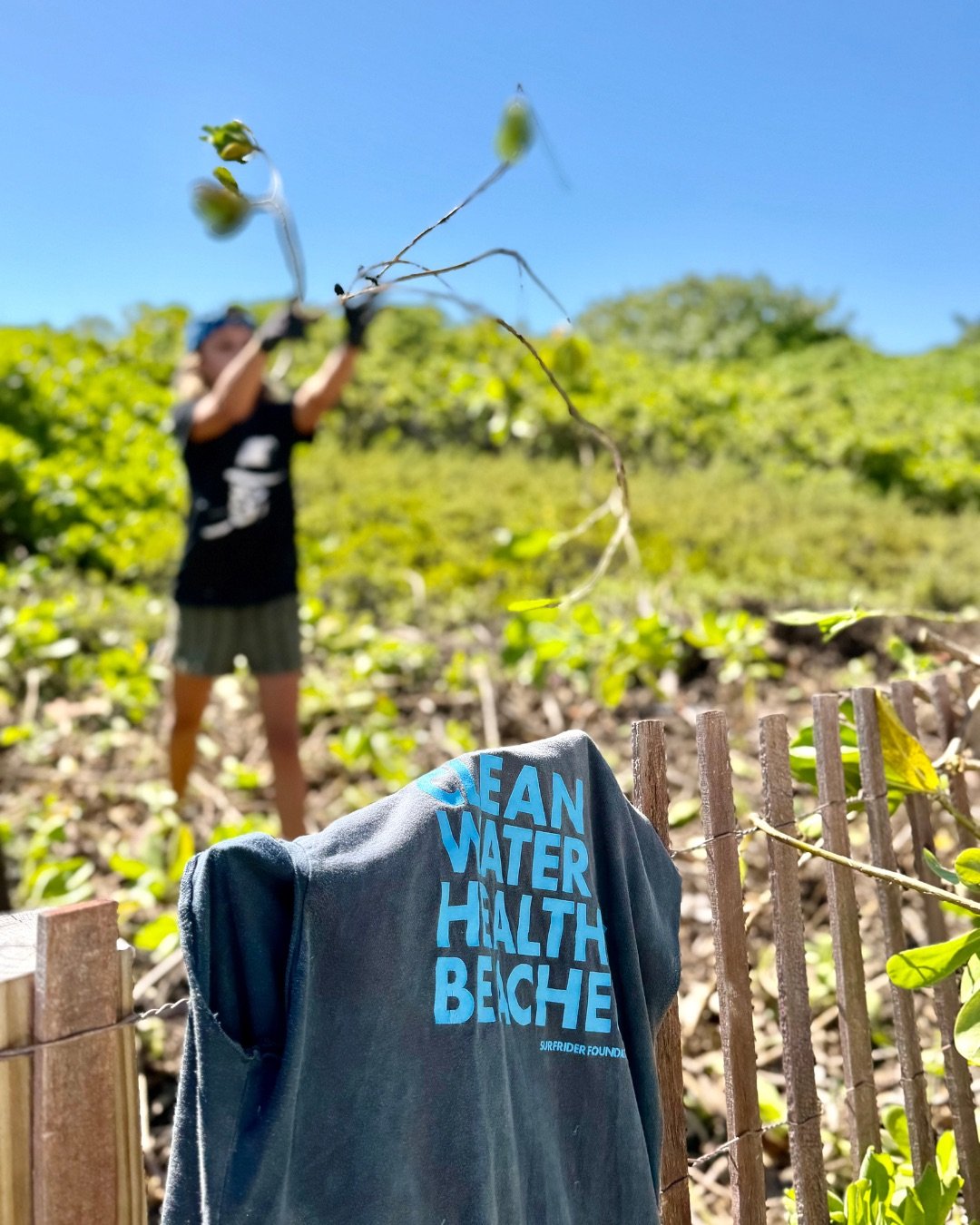 Surfrider Miami - April 2026 Dune Restoriation - 8