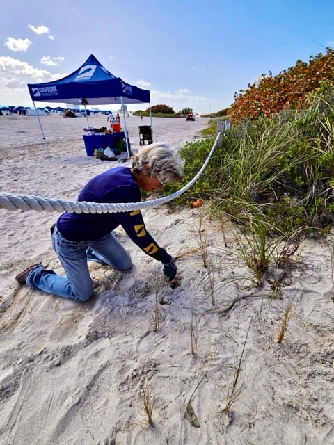 Dune Restoration - 2026 Miami Climate - 02