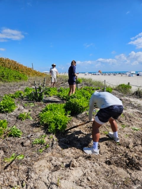 Dune Restoration - 2026 Miami Climate - 04