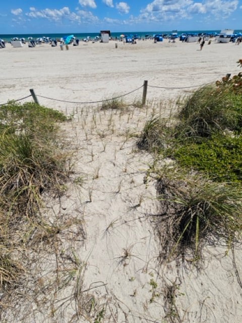 Dune Restoration - 2026 Miami Climate - 06