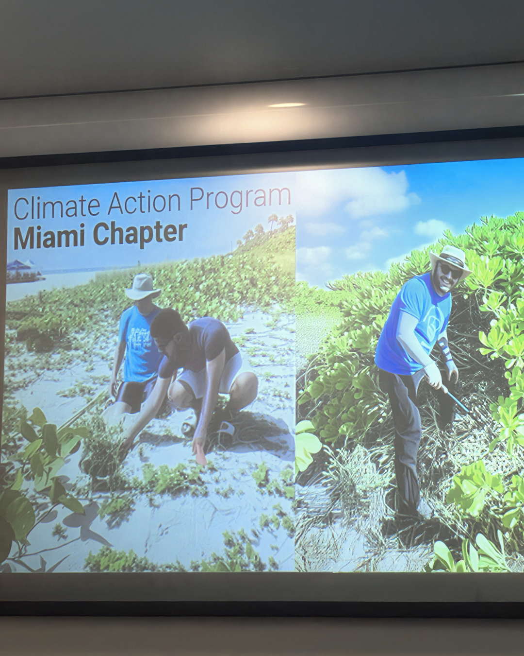 SRF - Regional Surfrider Conference 3