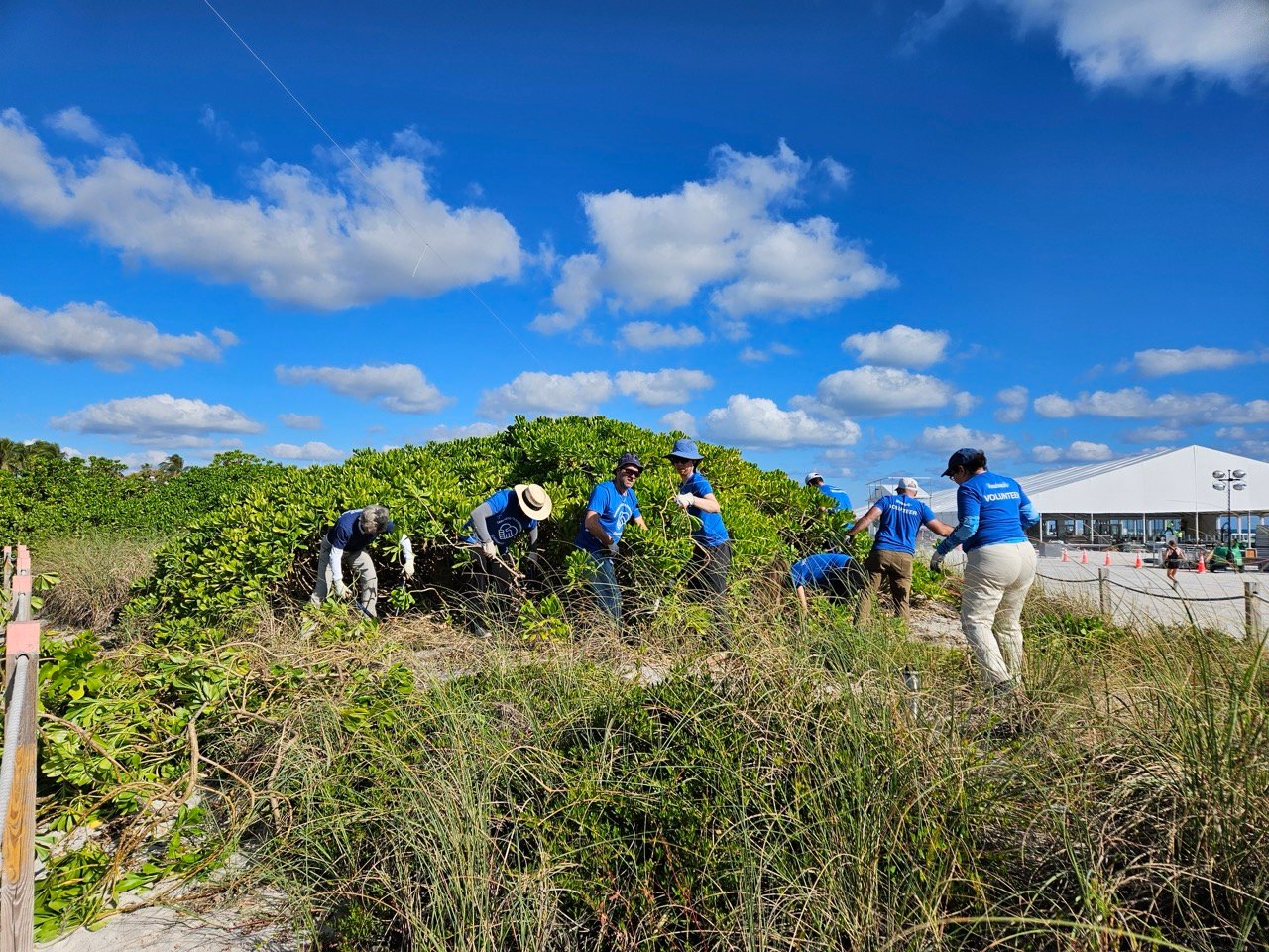 Surfrider-RenaissanceRe-SED-02