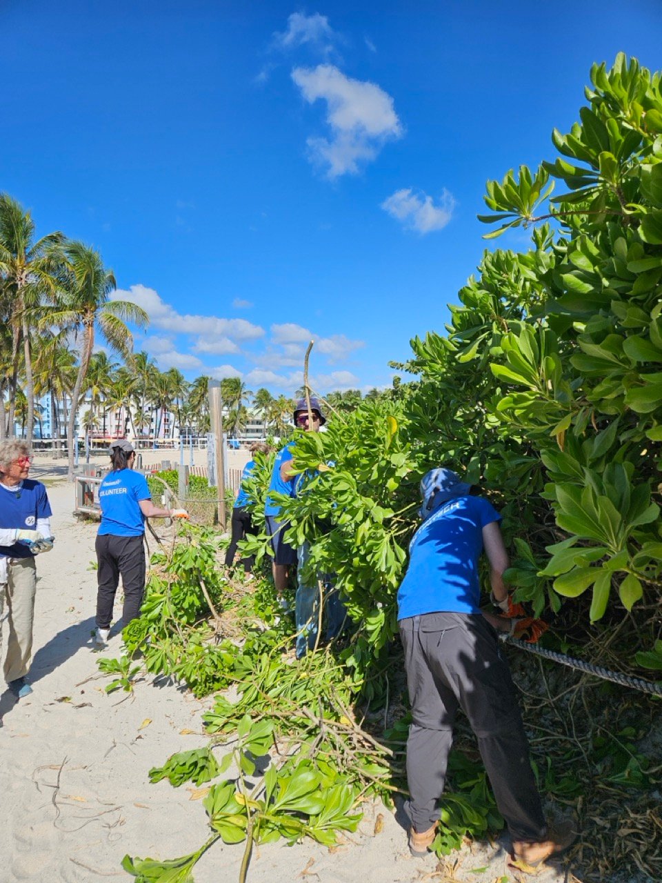 Surfrider-RenaissanceRe-SED-09