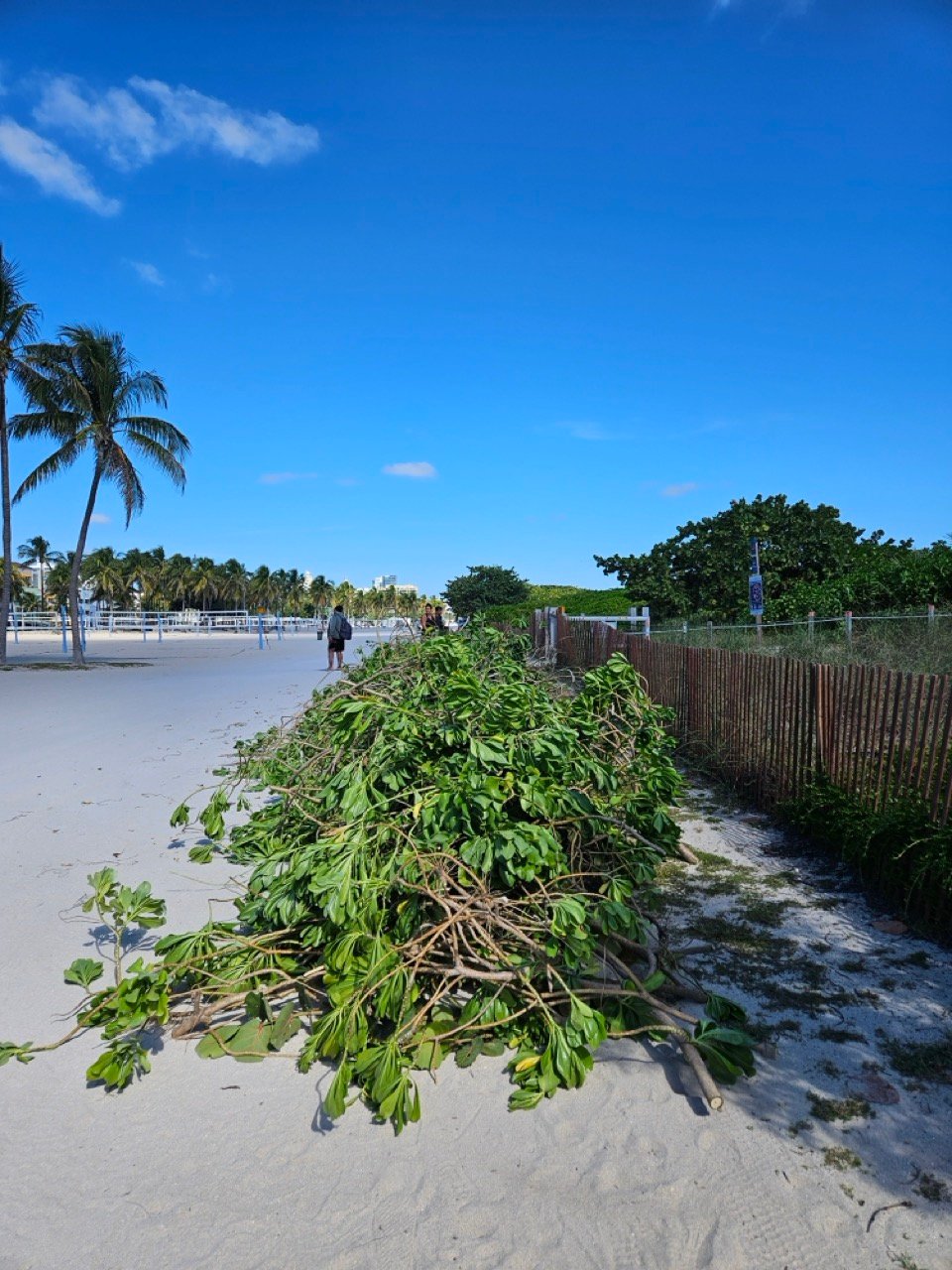 Surfrider-RenaissanceRe-SED-10