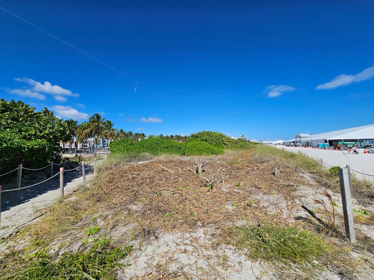 Surfrider-RenaissanceRe-SED-11