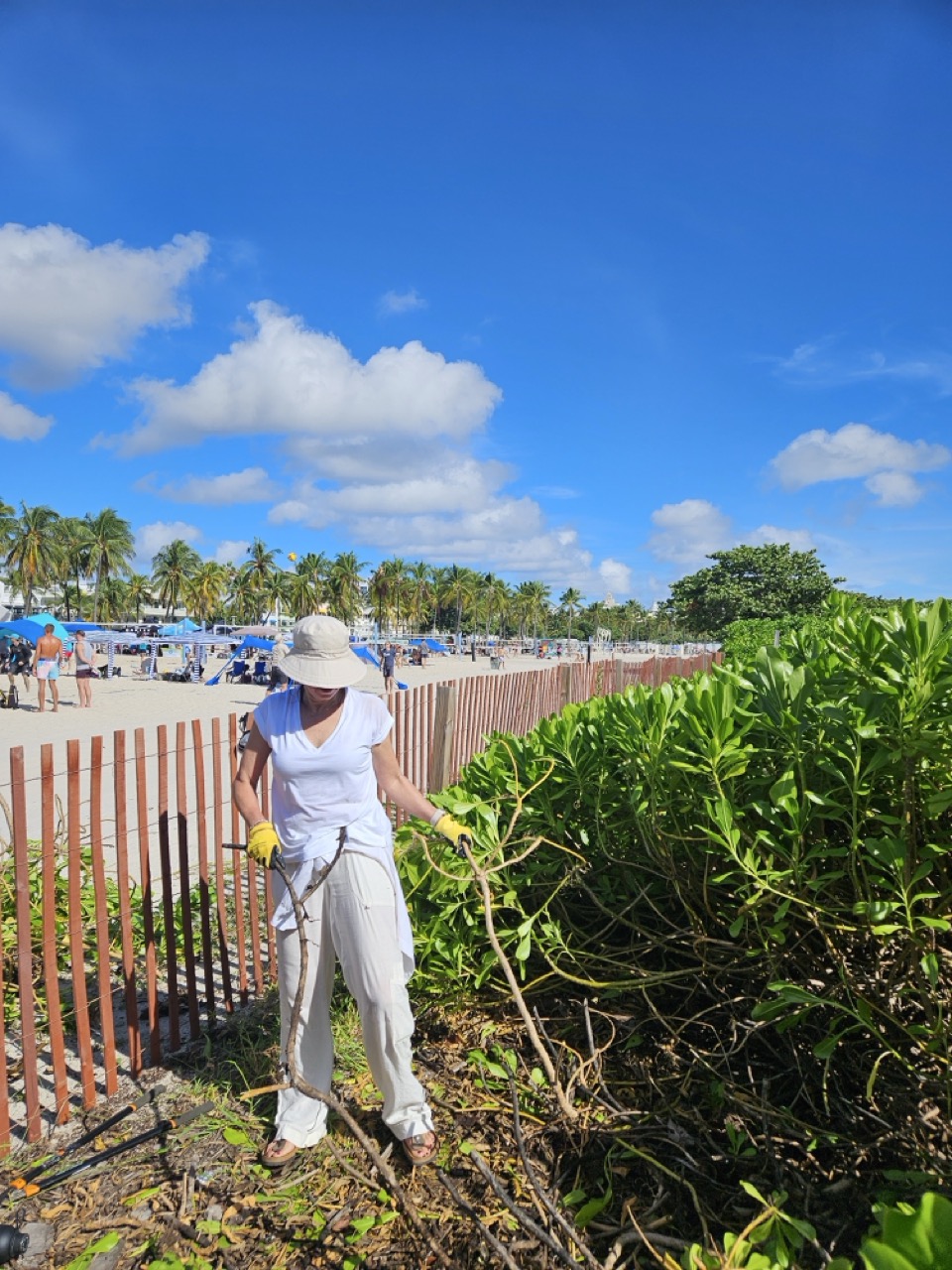Surfrider Miami - Oct 2026 - Climate Week  -07