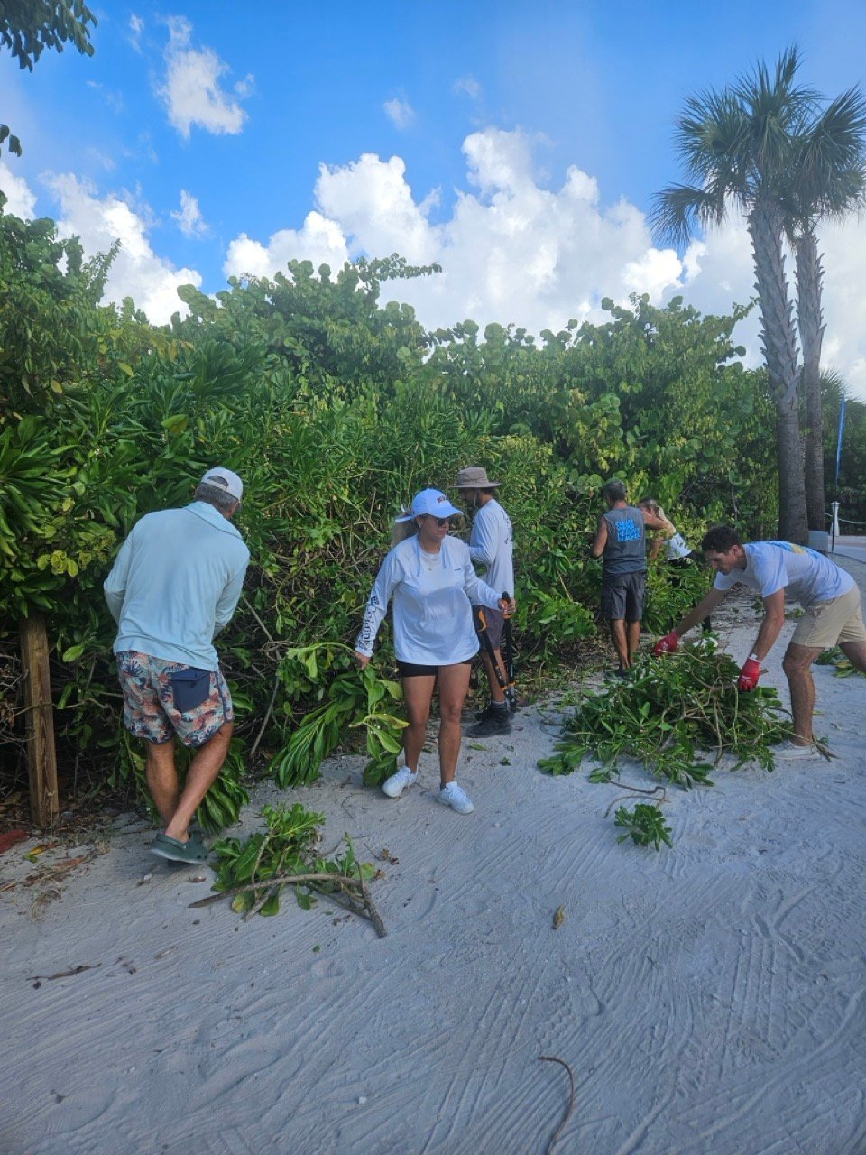 Surfrider Miami - Aug 26 - Sunset Dune Restoration  -01
