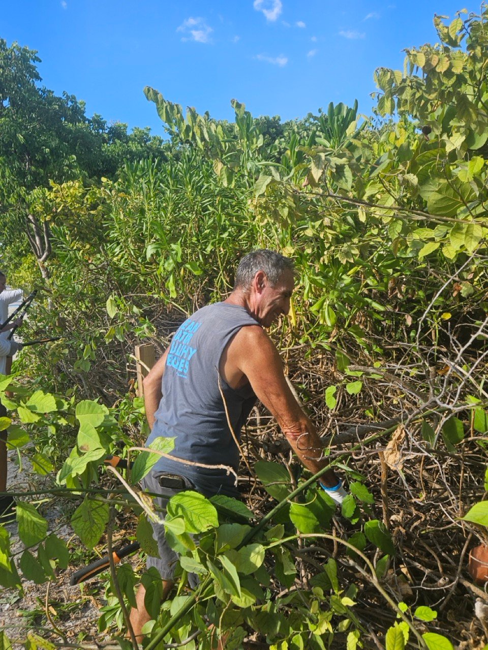 Surfrider Miami - Aug 26 - Sunset Dune Restoration  -02