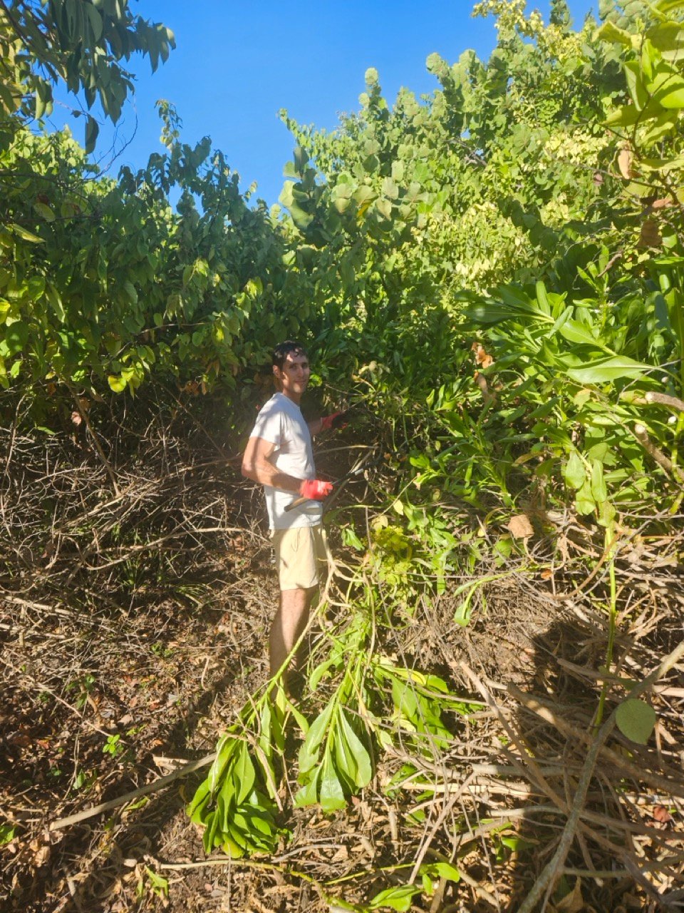 Surfrider Miami - Aug 26 - Sunset Dune Restoration  -04