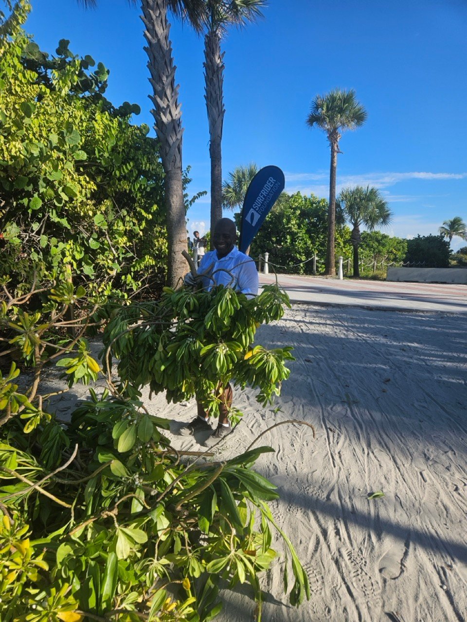 Surfrider Miami - Aug 26 - Sunset Dune Restoration  -05