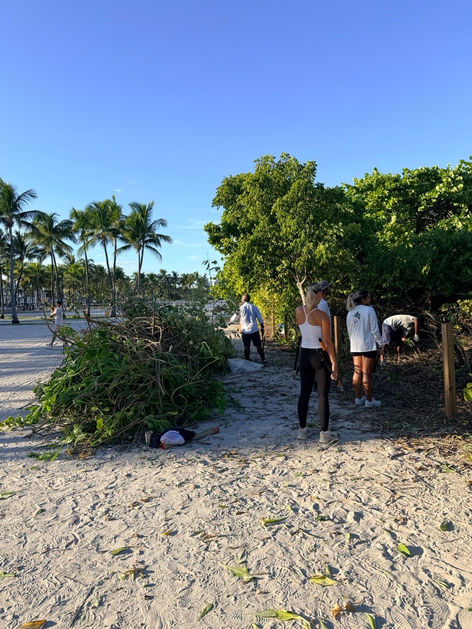 Surfrider Miami - Aug 26 - Sunset Dune Restoration  -14