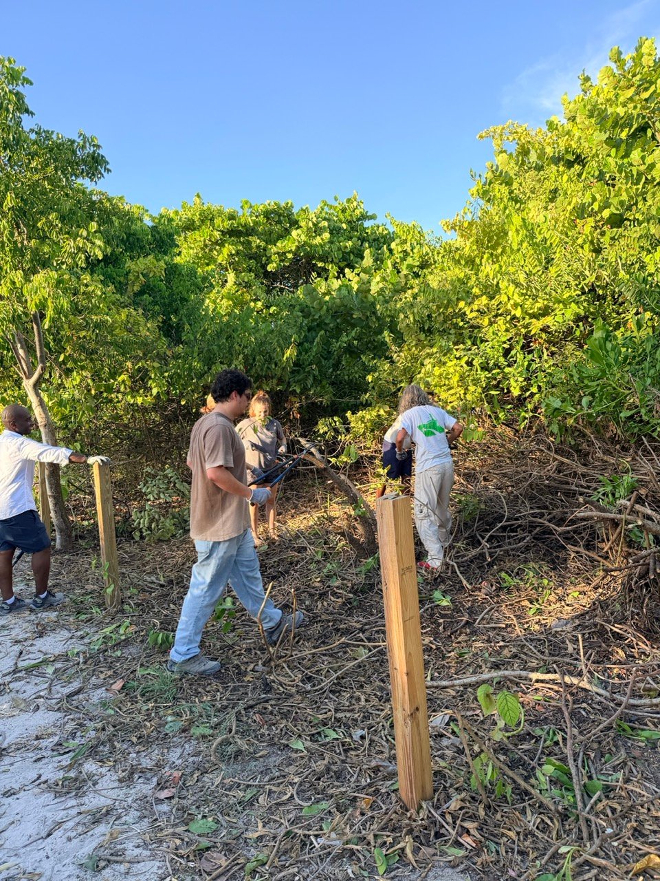 Surfrider Miami - Aug 26 - Sunset Dune Restoration  -15