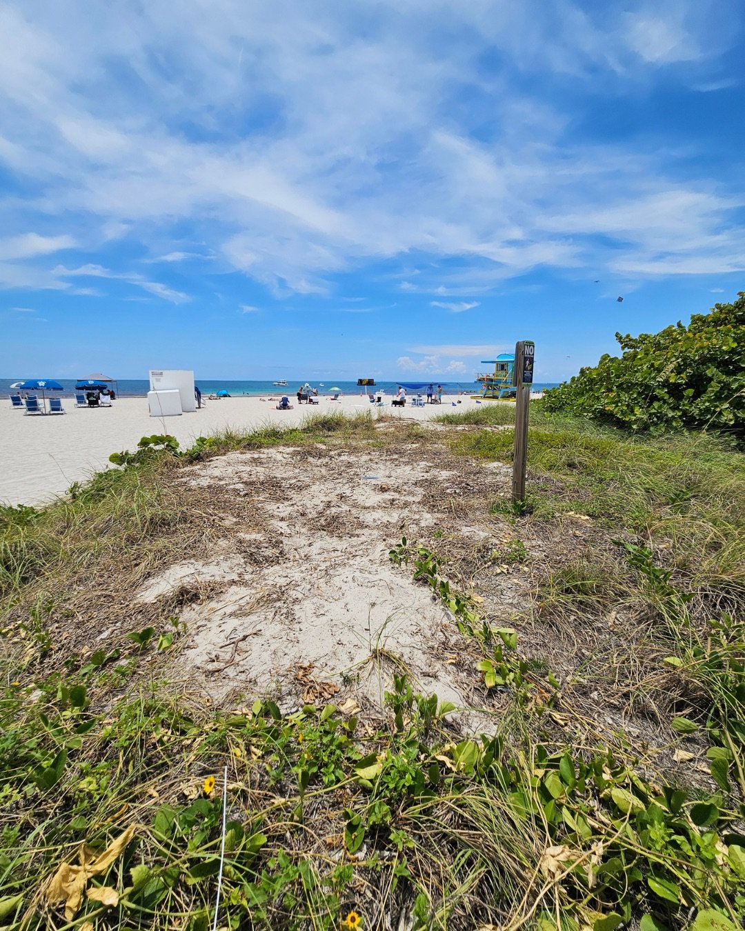 Surfrider Miami - WOC 2026 -5