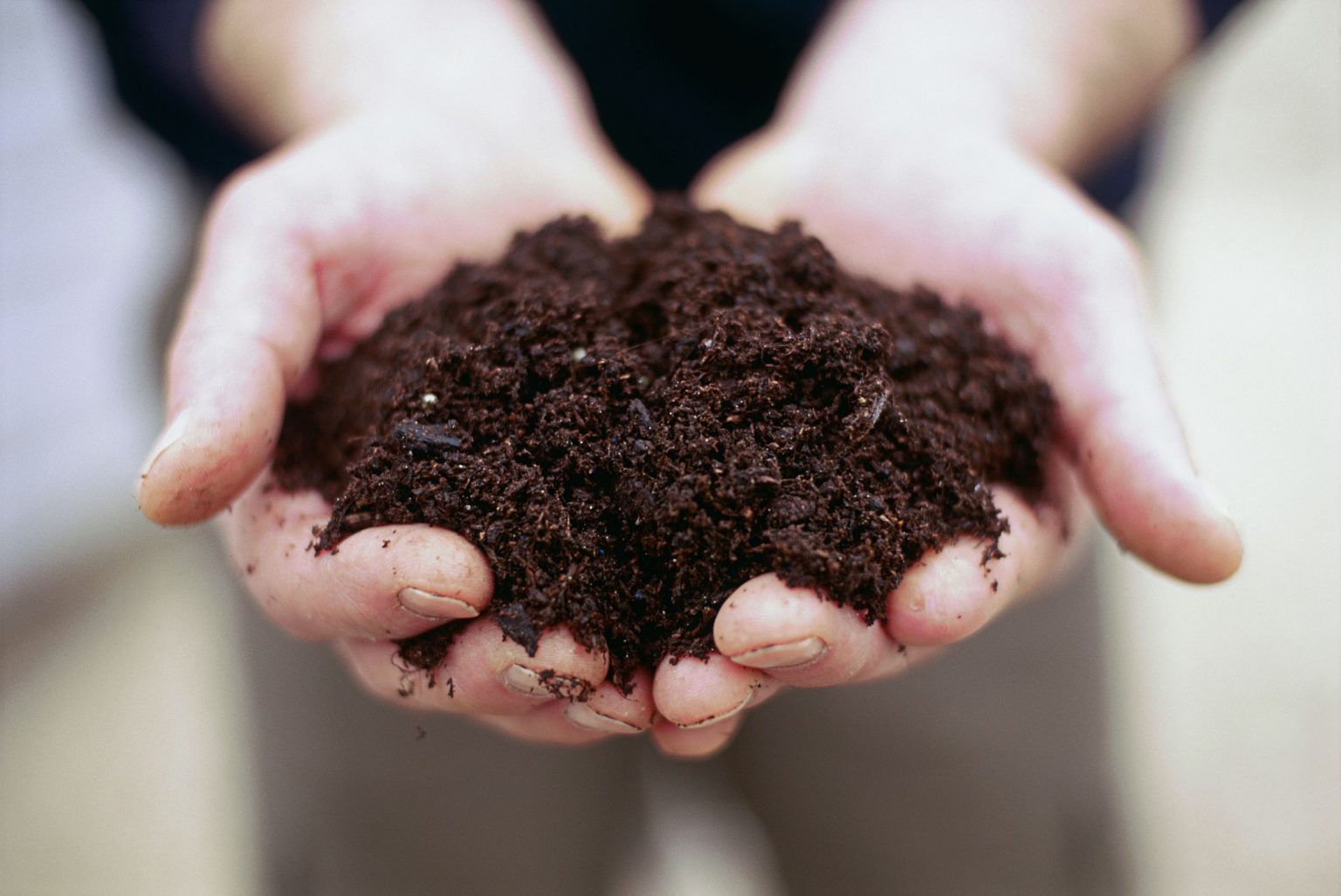 Miami Beach Composting